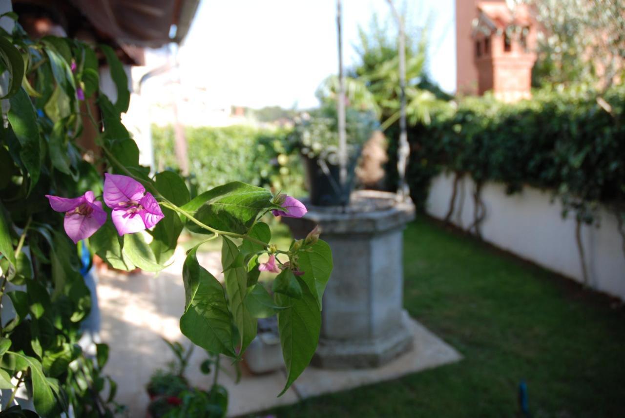 B&B Sea Joy Rovinj Buitenkant foto
